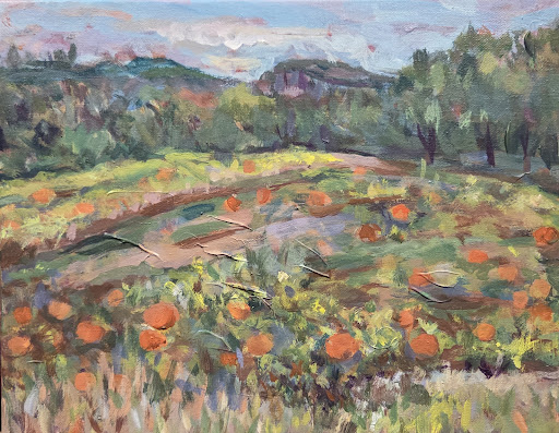 Pumpkin Patch on the way to Mohonk